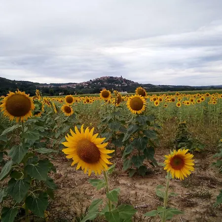 Las Cabanas
